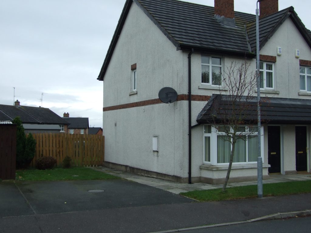 Baltylum Meadows, Portadown